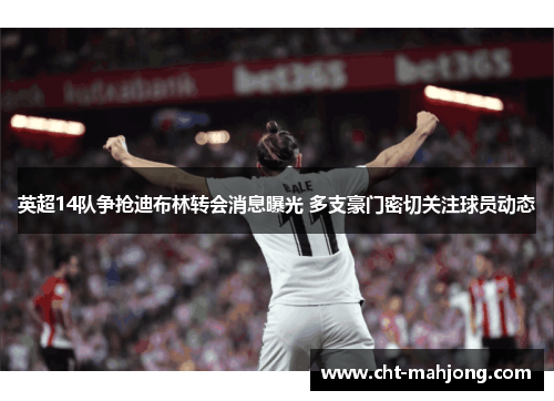 英超14队争抢迪布林转会消息曝光 多支豪门密切关注球员动态